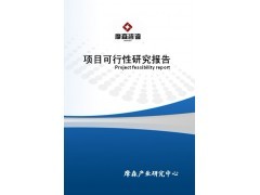 重慶智能機電產(chǎn)品項目可行性研究報告（咨詢策劃服務(wù)）