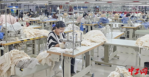 濟寧市兗州區 引項目搭橋梁，公共就業服務讓就業顧家兩不誤